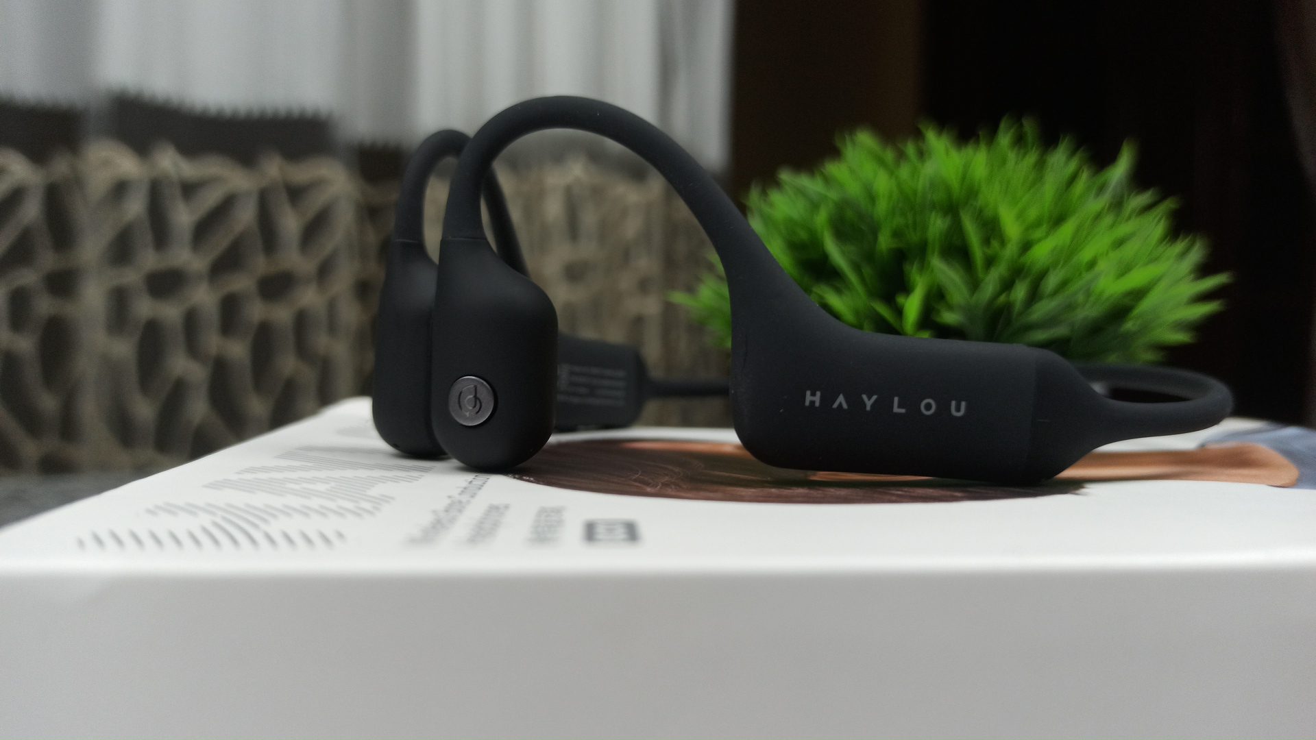 Haylou PurFree BC01 Review